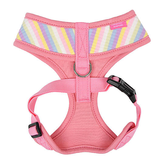MAIRE HARNESS / PINK - 2