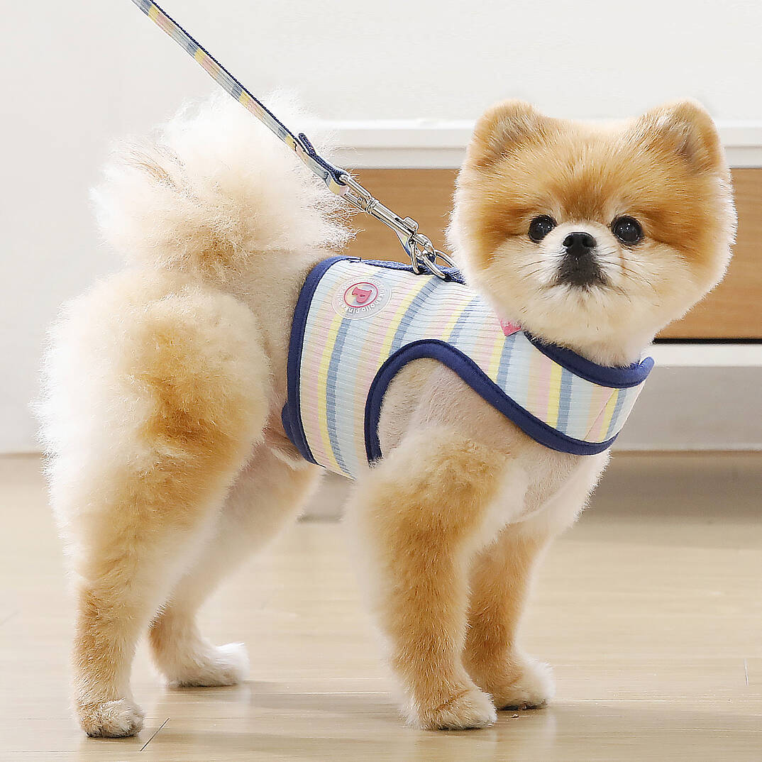 MAIRE PINKA HARNESS / BLUE - 6