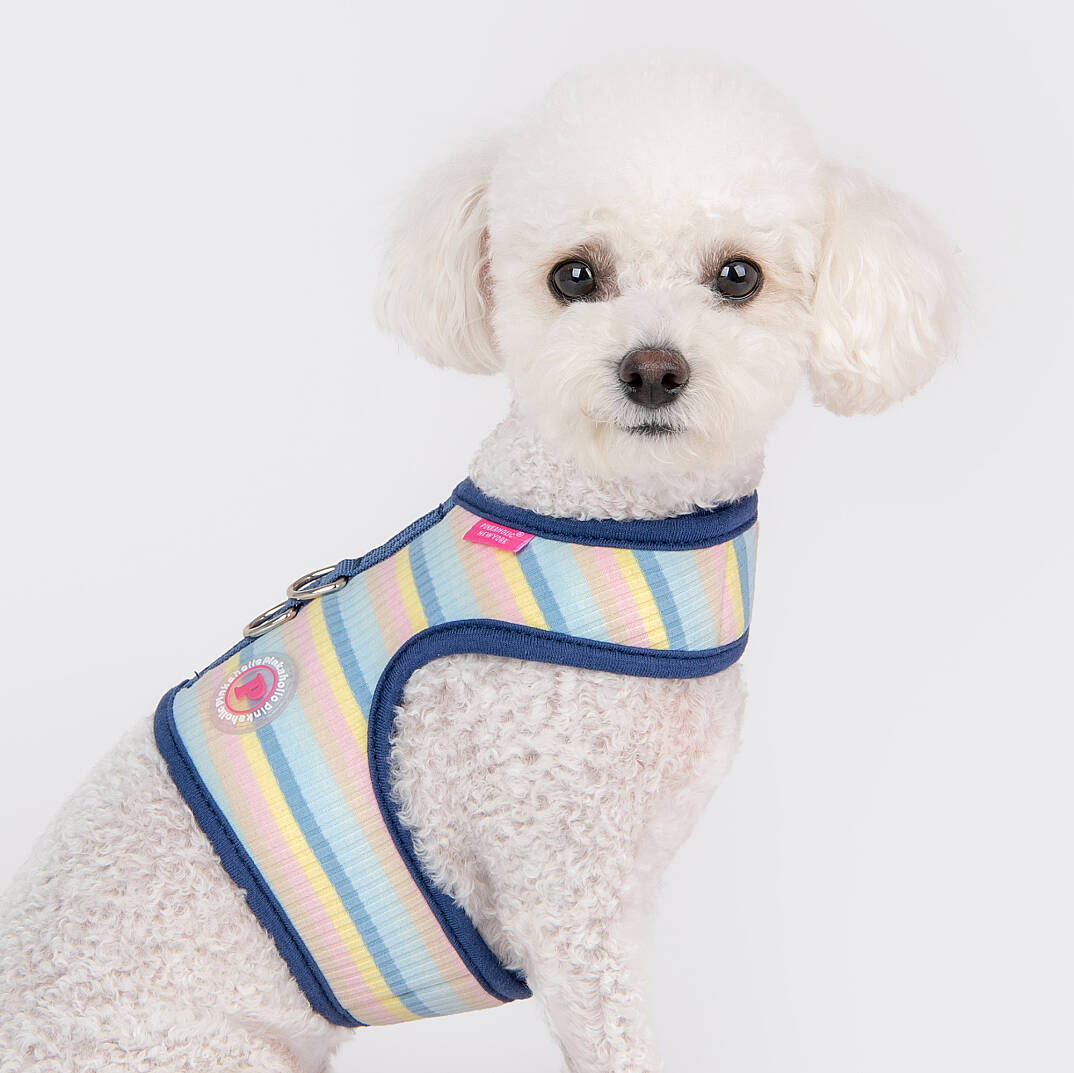 MAIRE PINKA HARNESS / BLUE - 7
