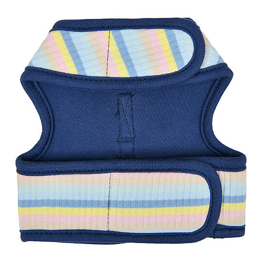 MAIRE PINKA HARNESS / BLUE - 2