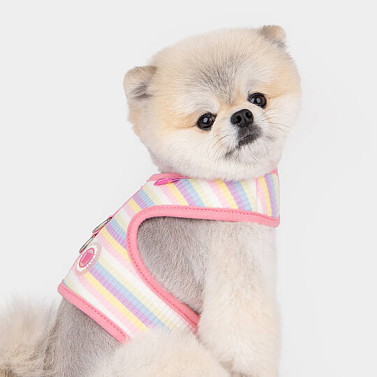 MAIRE PINKA HARNESS / PINK - 6