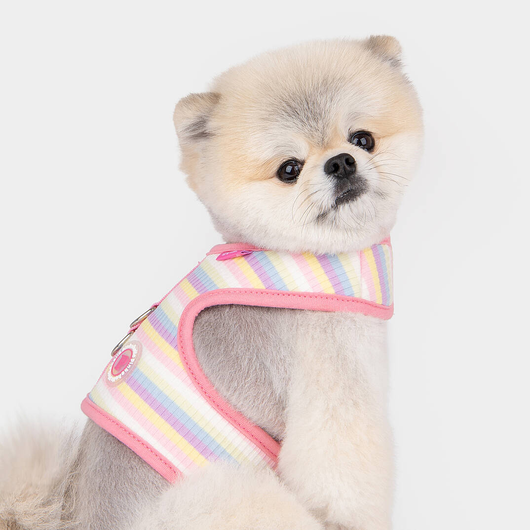 MAIRE PINKA HARNESS / PINK - 6