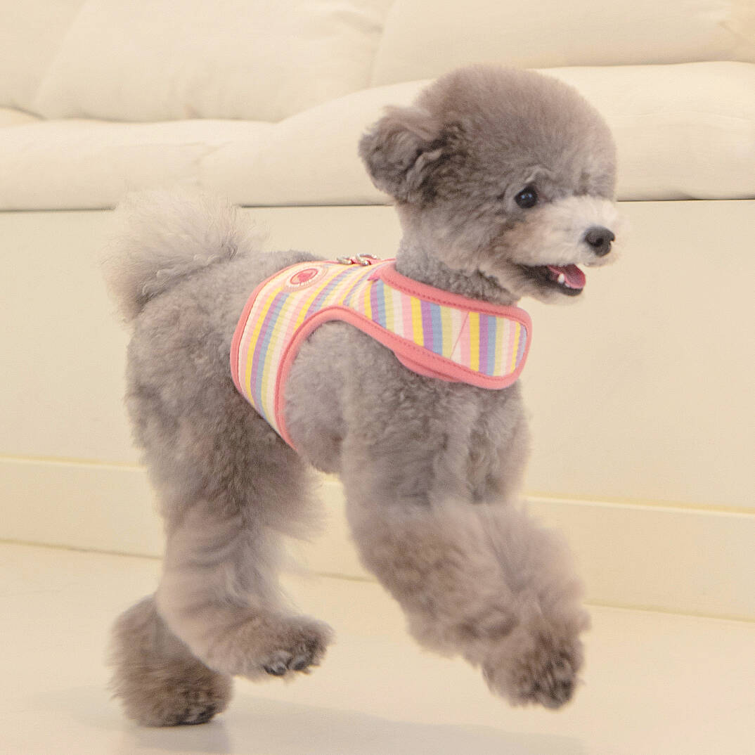 MAIRE PINKA HARNESS / PINK - 7