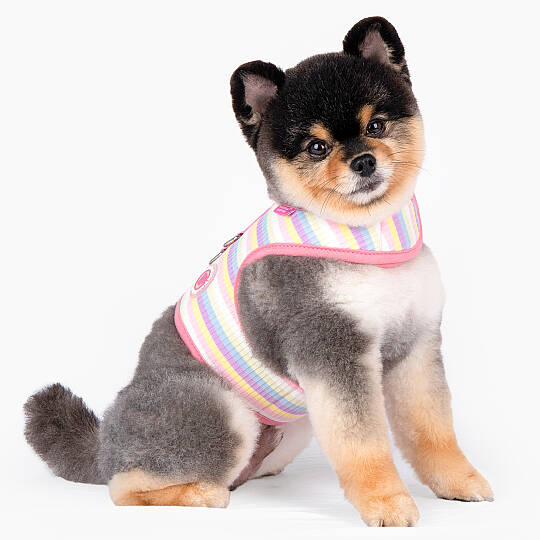 MAIRE PINKA HARNESS / PINK - 8