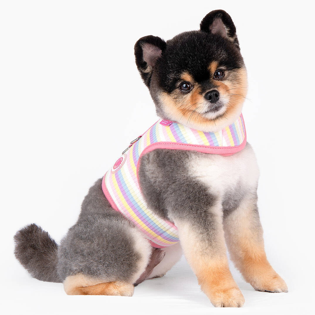 MAIRE PINKA HARNESS / PINK - 8