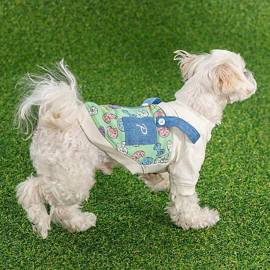 MAISY/IVORY - 4