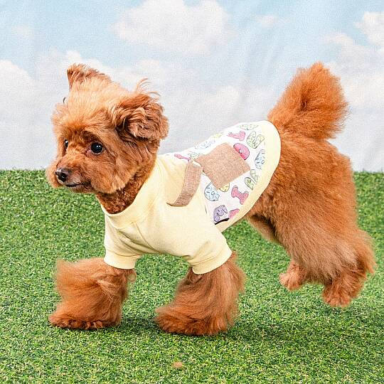 MAISY/LT.YELLOW - 5