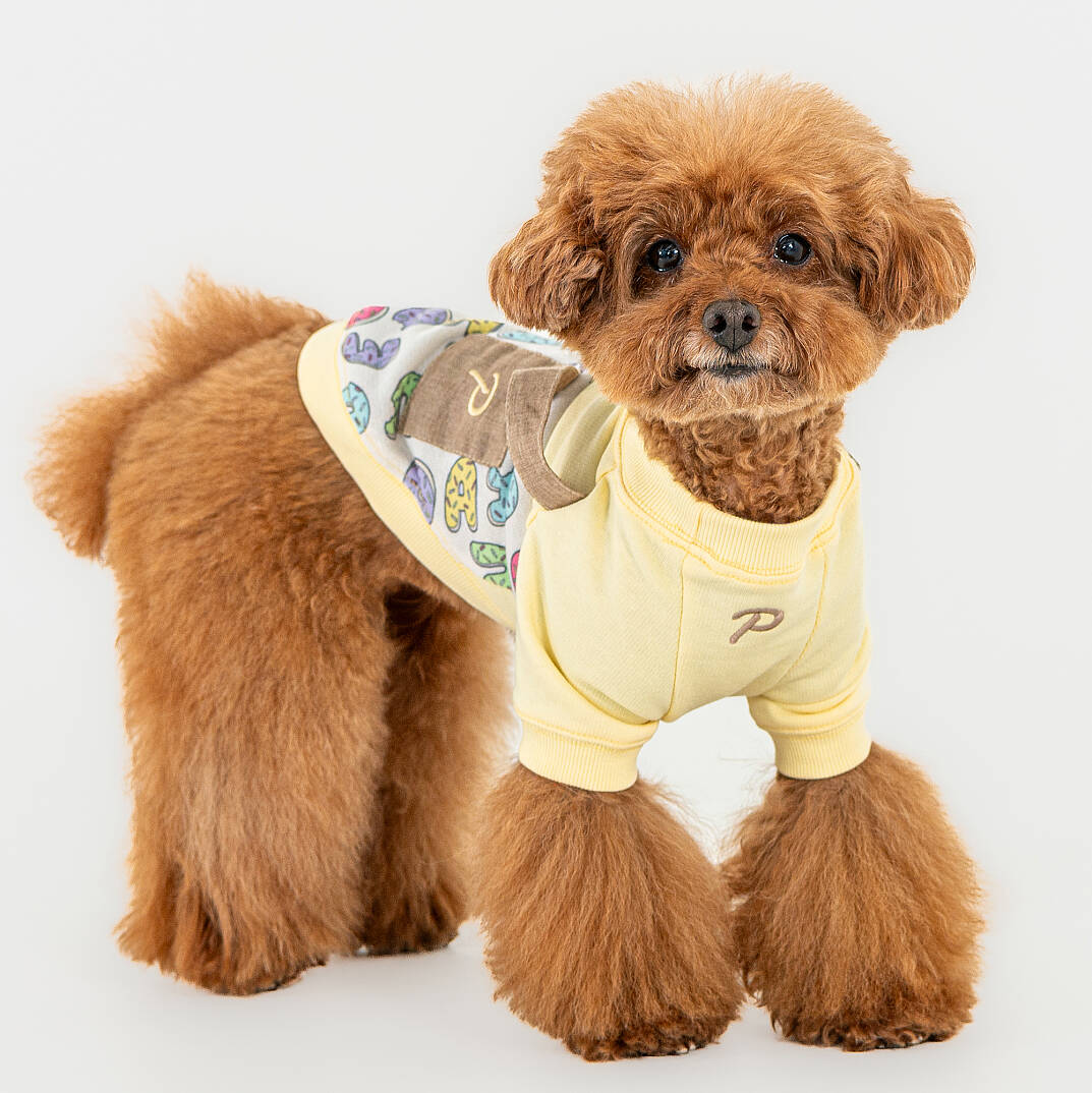 MAISY/LT.YELLOW - 4