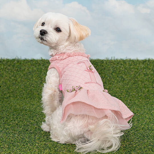 MAJESTY / INDIAN PINK - 3
