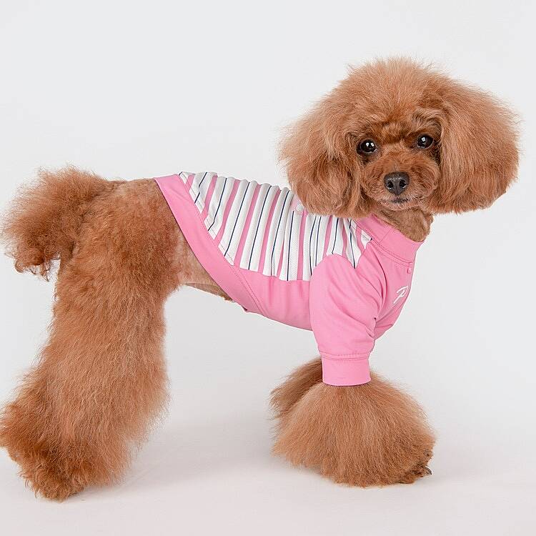 MARINO / PINK - 8