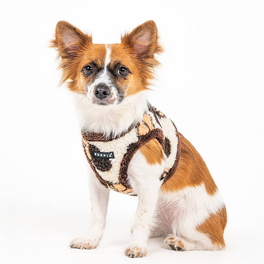 MAX HARNESS B / BEIGE - 8