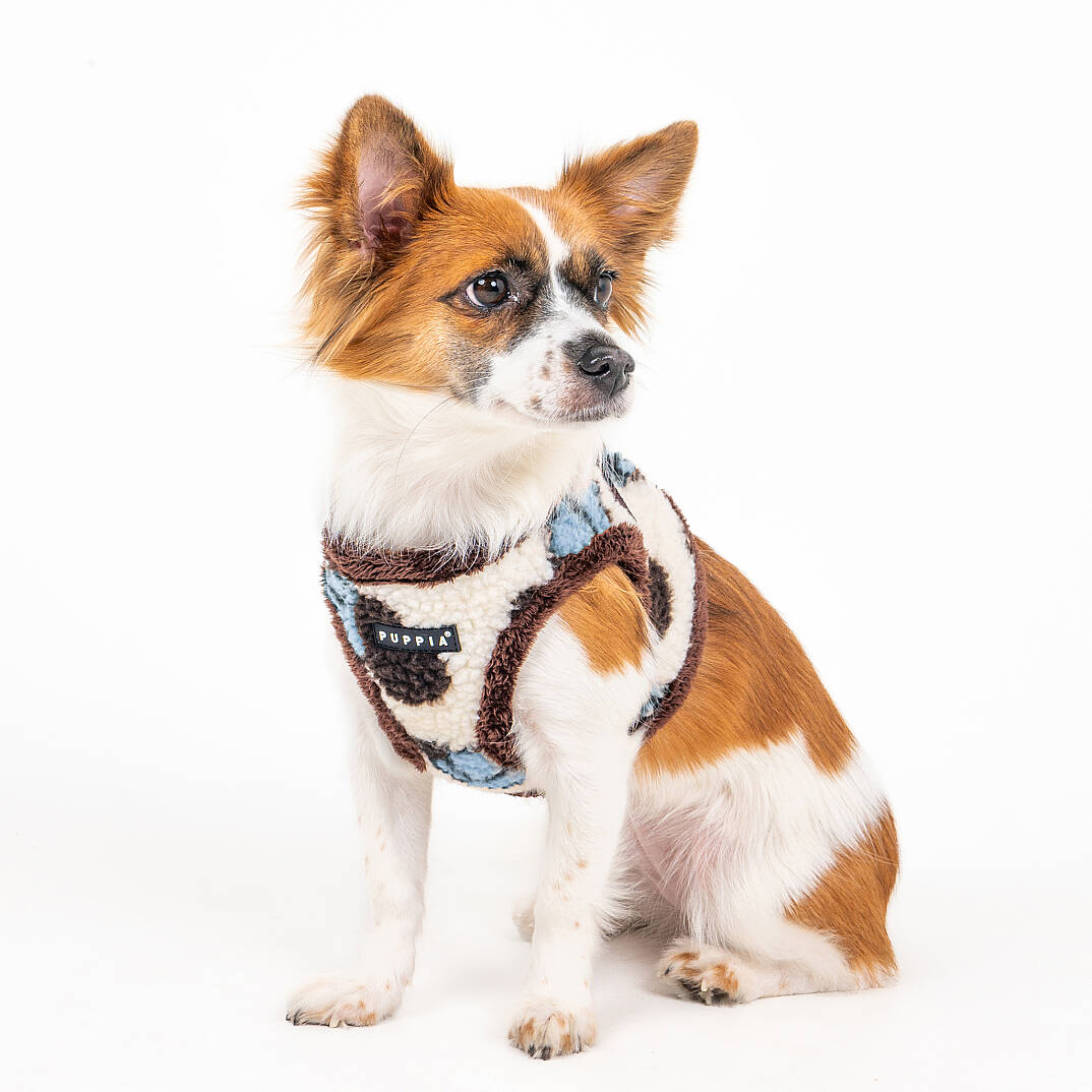 MAX HARNESS B / BLUE - 7