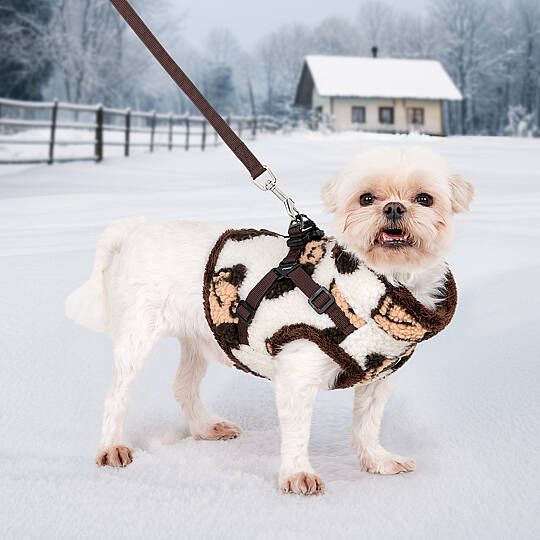 MAX HARNESS V / BEIGE - 5