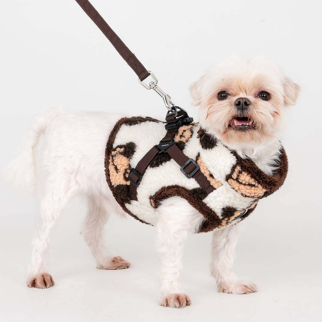 MAX HARNESS V / BEIGE - 8