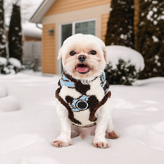 MAX HARNESS V / BLUE - 5