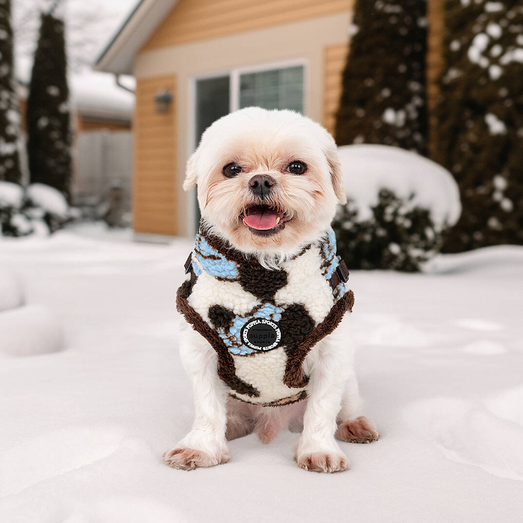 MAX HARNESS V / BLUE - 5