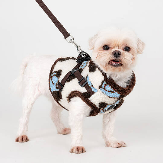 MAX HARNESS V / BLUE - 7