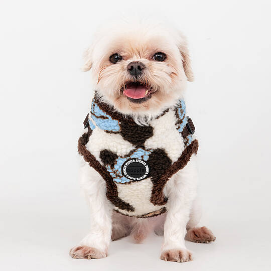 MAX HARNESS V / BLUE - 8