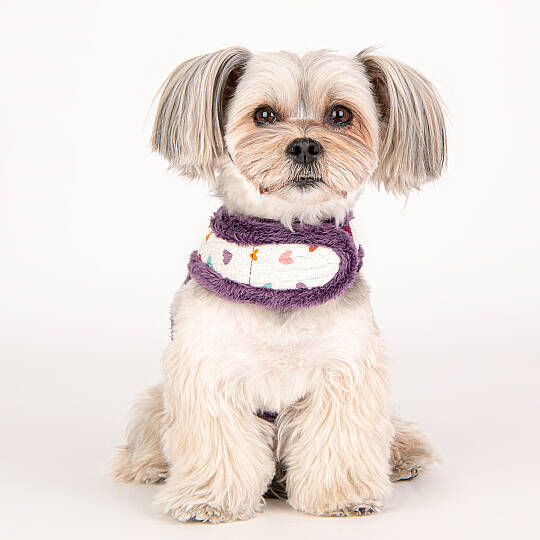 MERRY PINKA HARNESS/PURPLE - 8
