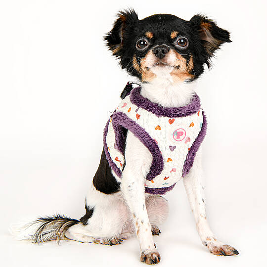 MERRY VEST HARNESS/PURPLE - 8