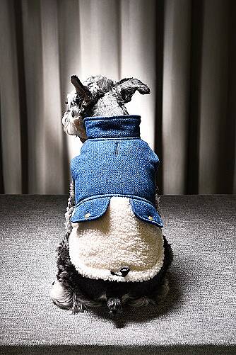 Miji Denim Polarlı Köpek Kıyafeti - 1