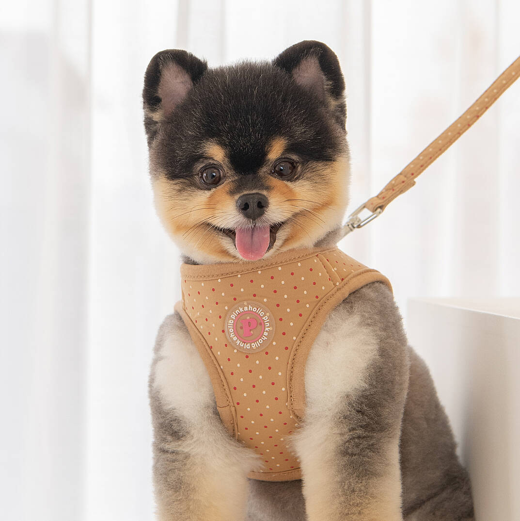 MILA HARNESS B / BEIGE - 7