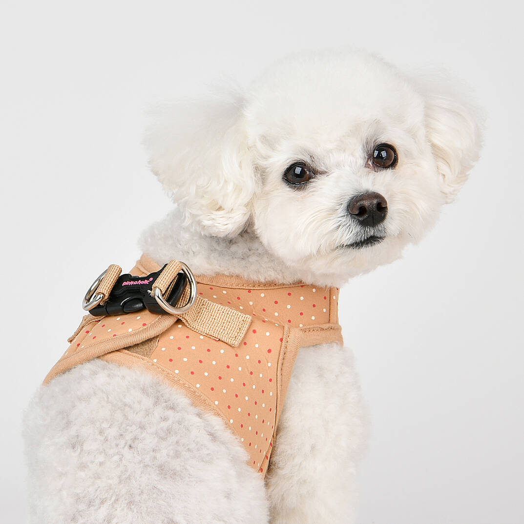 MILA HARNESS B / BEIGE - 9