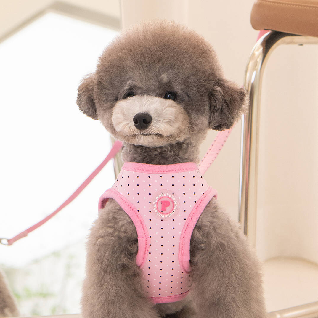 MILA HARNESS B / PINK - 7