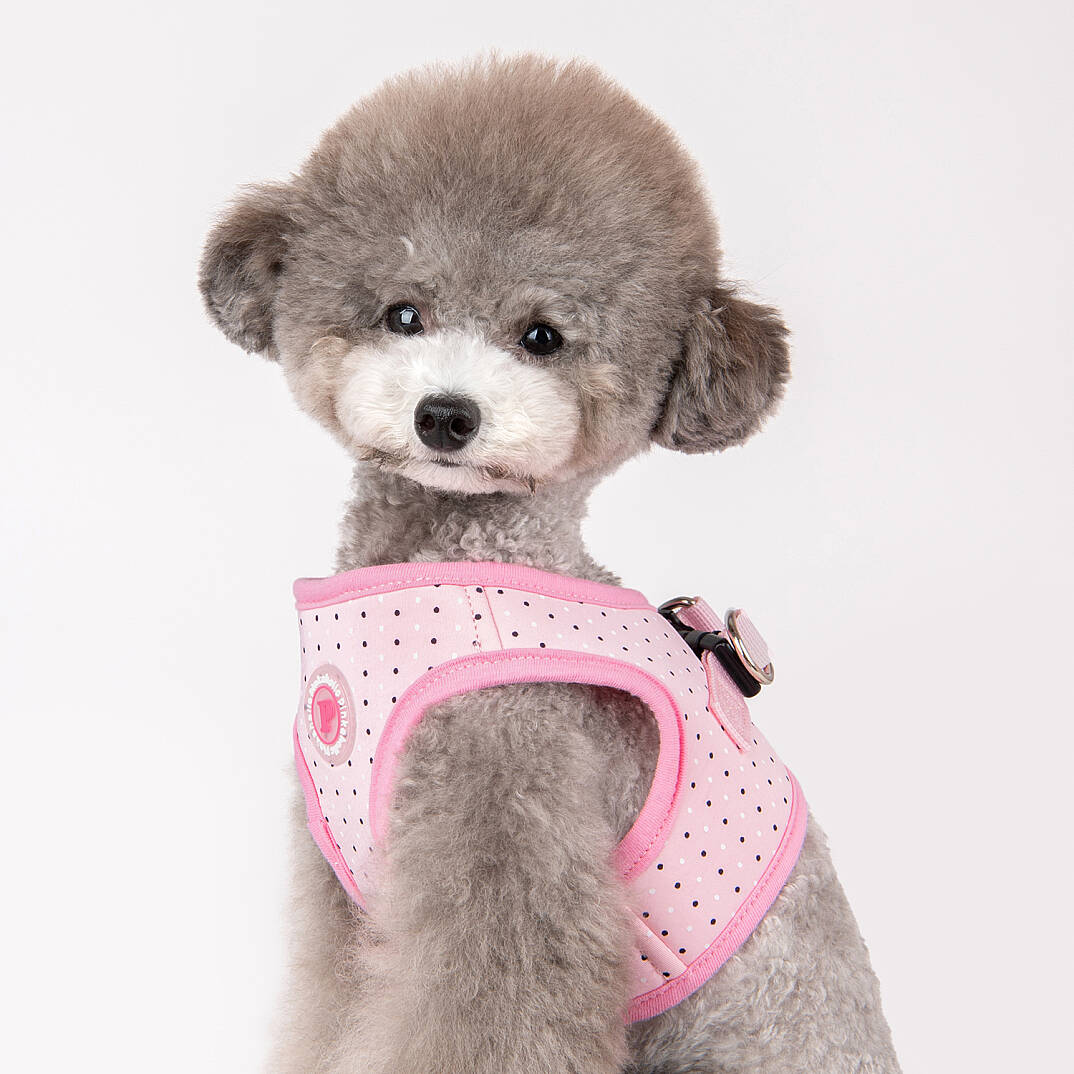 MILA HARNESS B / PINK - 9