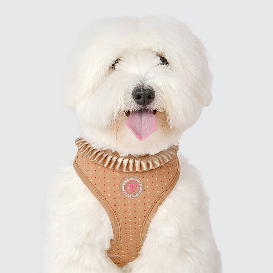 MILA HARNESS / BEIGE - 7