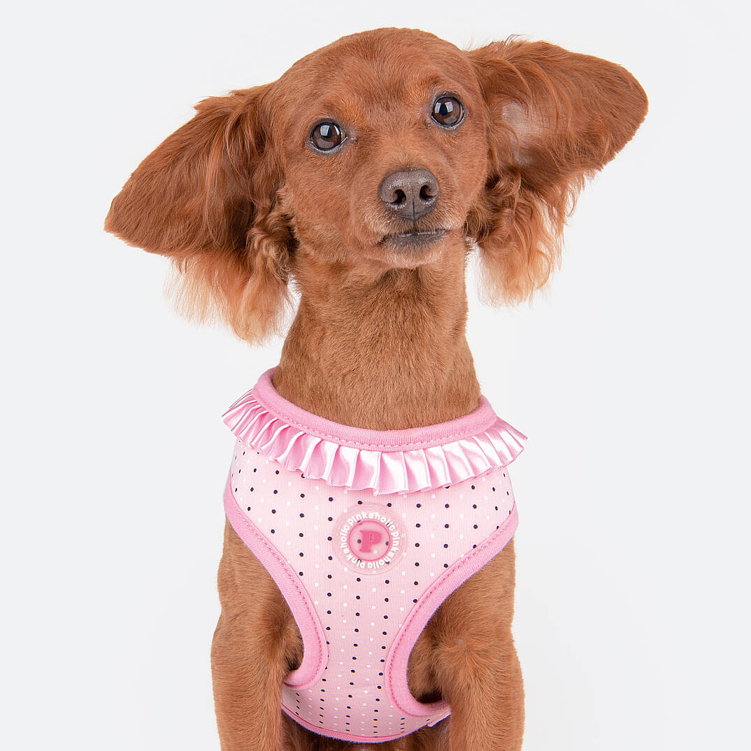 MILA HARNESS / PINK - 7