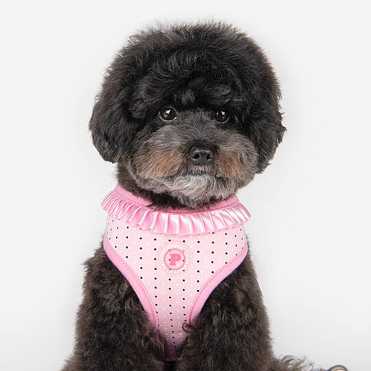 MILA HARNESS / PINK - 8