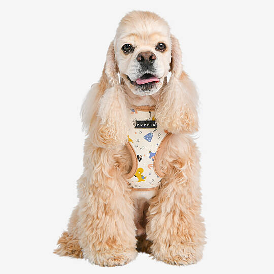 MINMI HARNESS A / BEIGE - 9