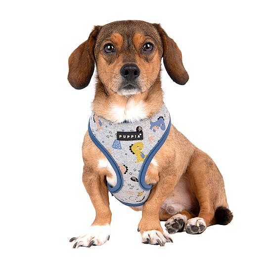 MINMI HARNESS A / BLUE - 7
