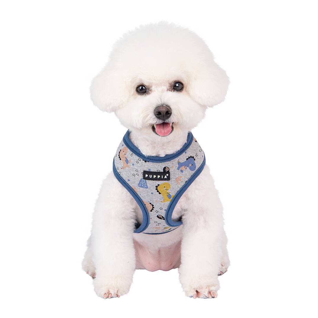 MINMI HARNESS A / BLUE - 8