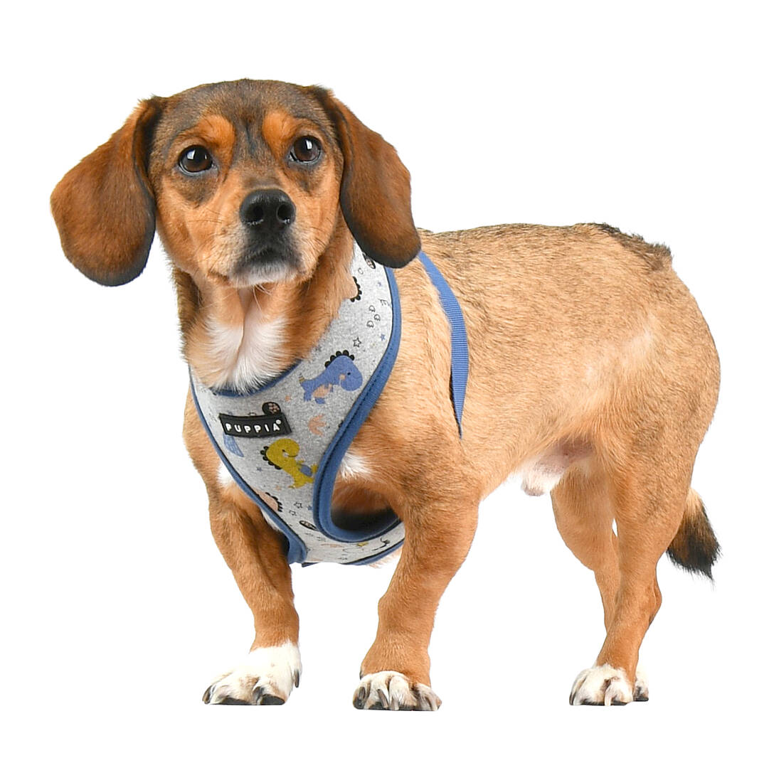 MINMI HARNESS A / BLUE - 9