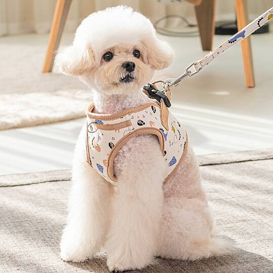 MINMI HARNESS B / BEIGE - 7