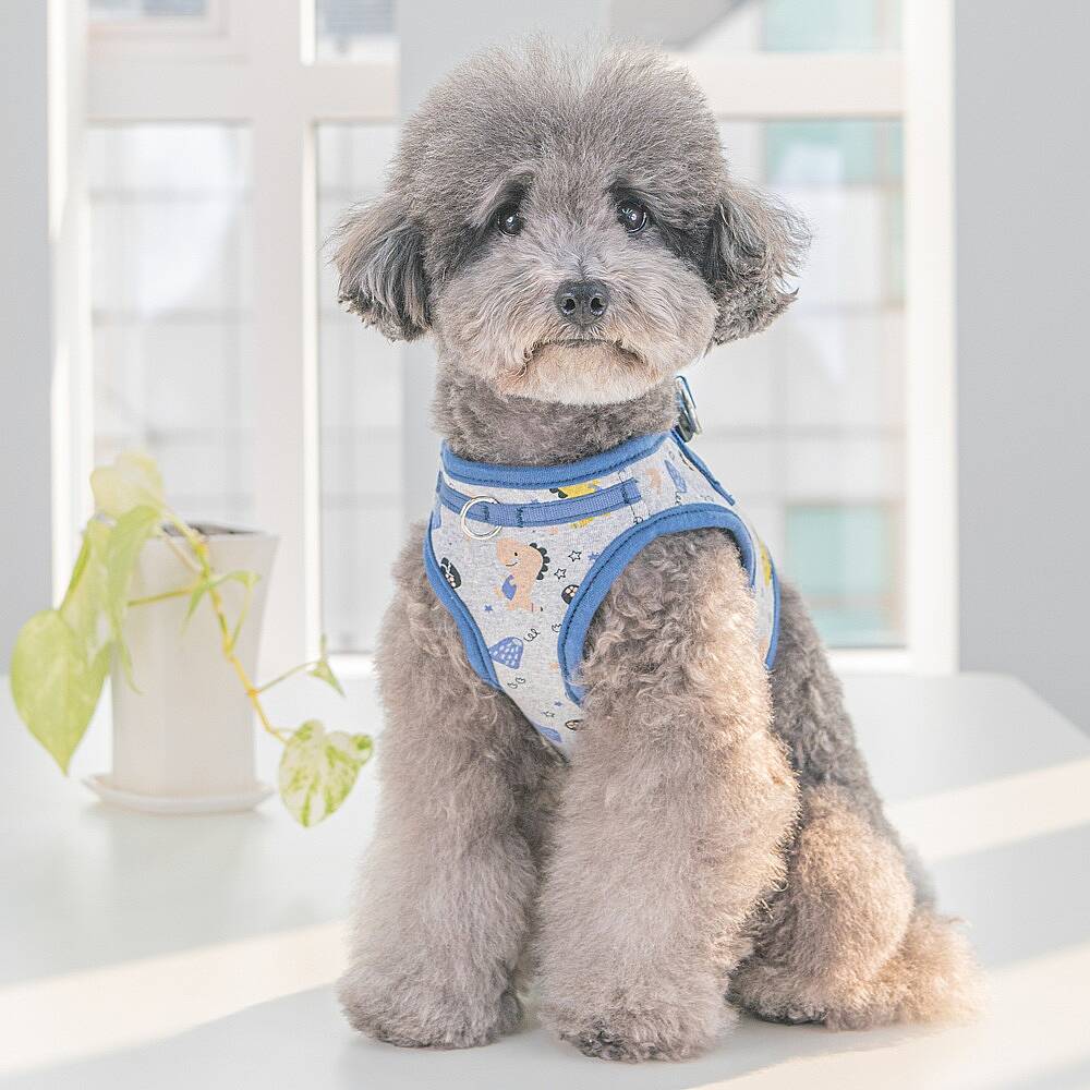 MINMI HARNESS B / BLUE - 7