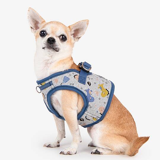 MINMI HARNESS B / BLUE - 9