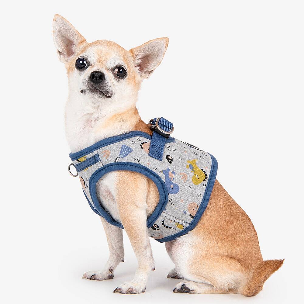 MINMI HARNESS B / BLUE - 9