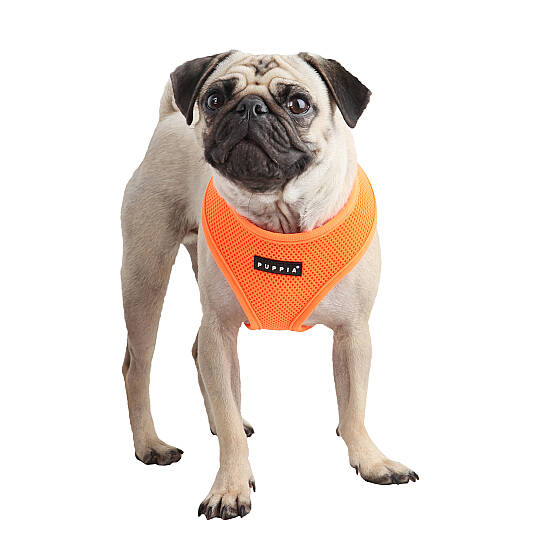 NEON SOFT HARNESS A / ORANGE - 3