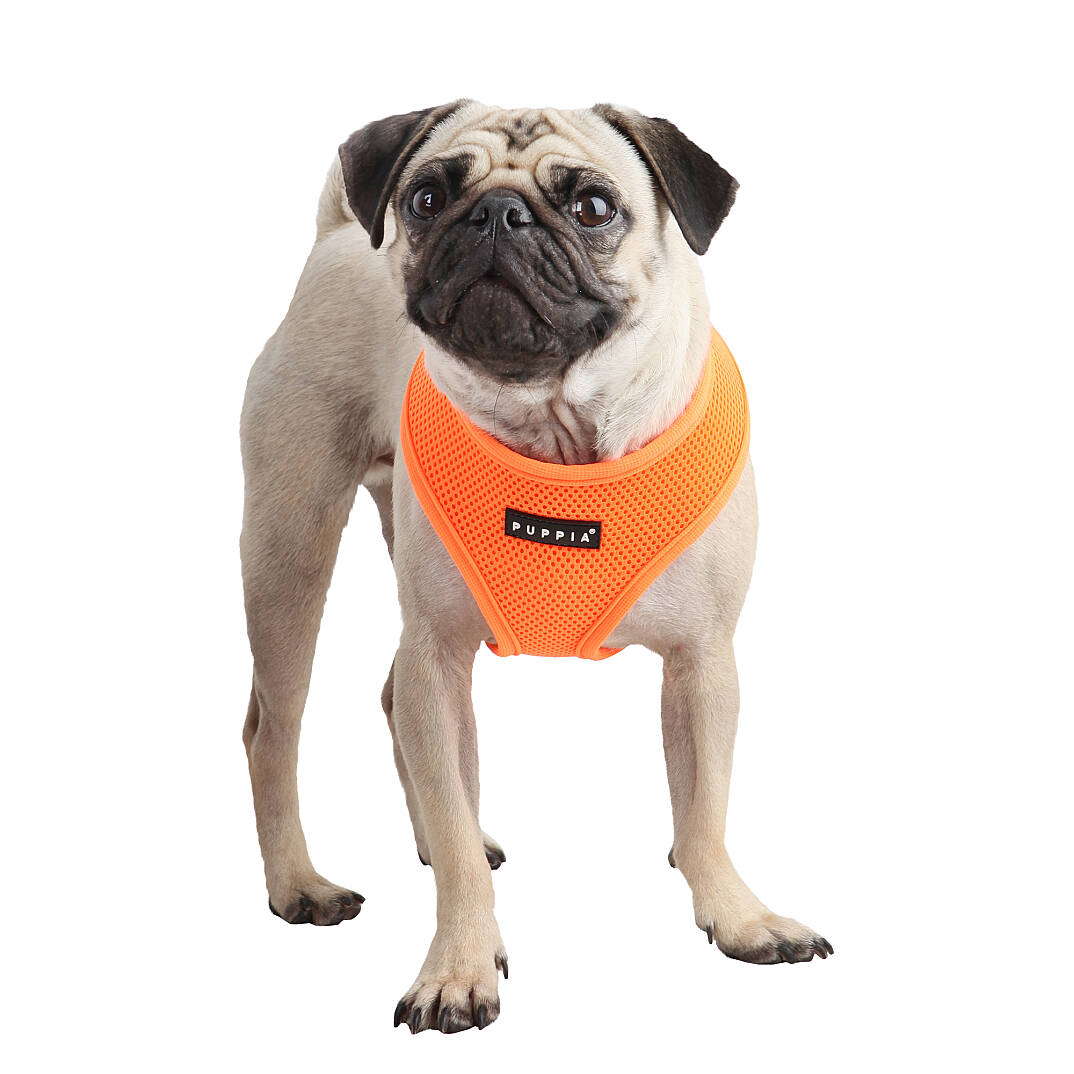NEON SOFT HARNESS A / ORANGE - 3