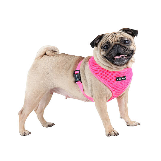 NEON SOFT HARNESS A / PINK - 3