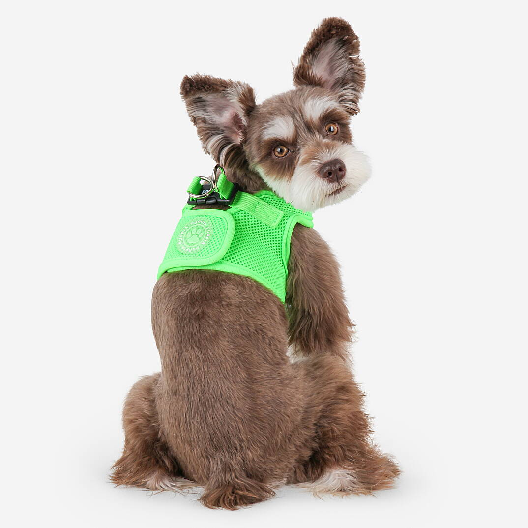 NEON SOFT VEST HARNESS B / GREEN - 4
