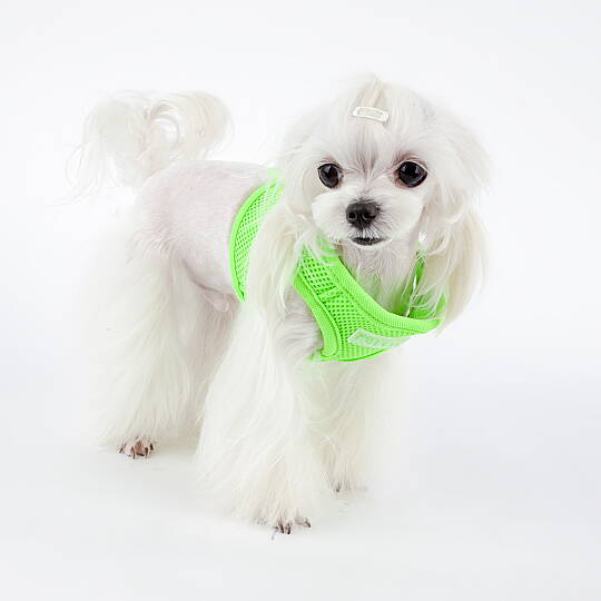 NEON SOFT VEST HARNESS B / GREEN - 6