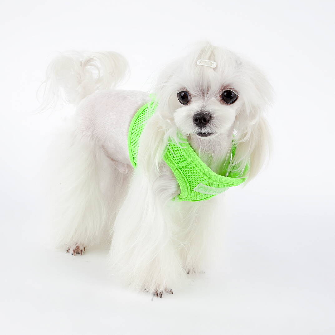 NEON SOFT VEST HARNESS B / GREEN - 6