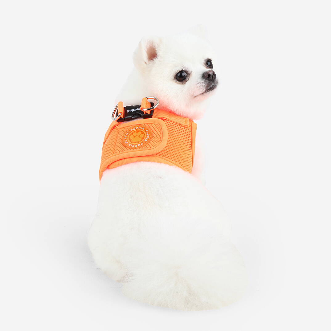 NEON SOFT VEST HARNESS B / ORANGE - 4