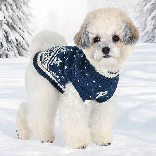 NEVIS TURTLENECK KNIT / NAVY - 4
