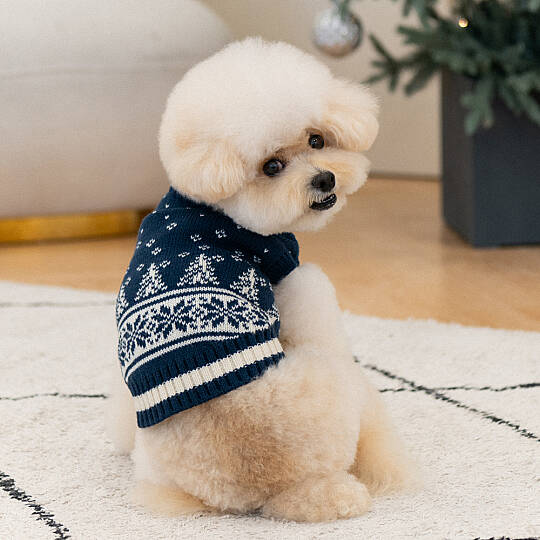 NEVIS TURTLENECK KNIT / NAVY - 5