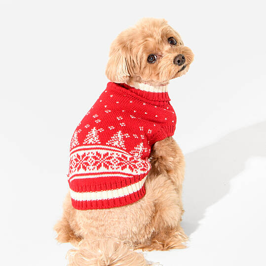 NEVIS TURTLENECK KNIT / WINE - 6